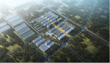 28圈官网版-创意平台,注册畅享文化之梦!